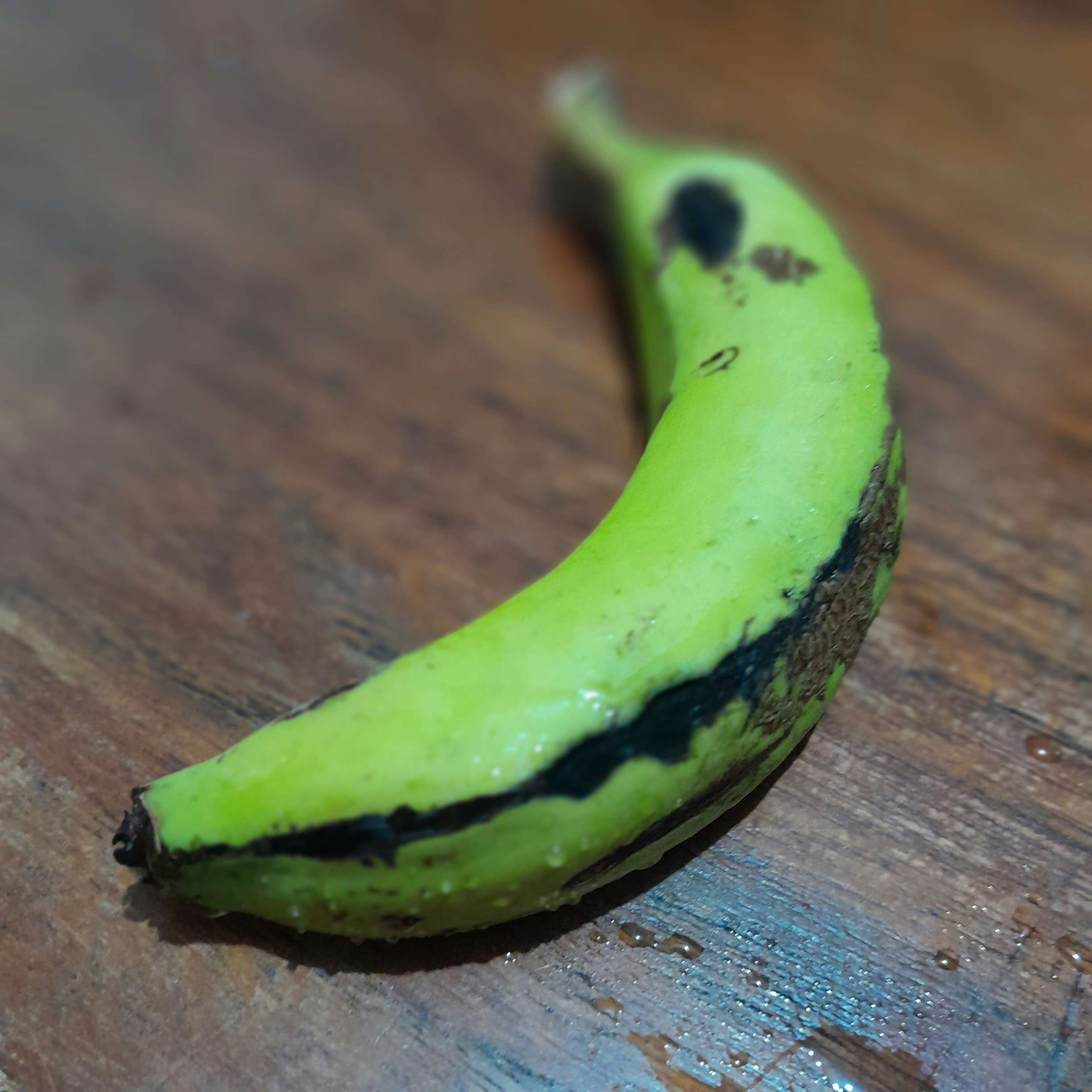 Banana Verde: Como Fazer Biomassa e Seus Benefícios Únicos