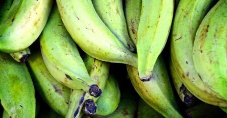 Guia da Banana-da-terra Como Escolher, Preparar e Benefícios