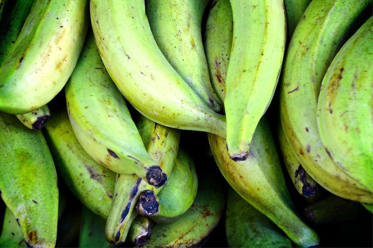 Guia da Banana-da-terra Como Escolher, Preparar e Benefícios