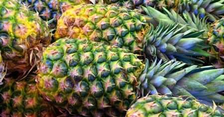 Abacaxi: O Guia Completo sobre a Fruta que Desincha o Corpo
