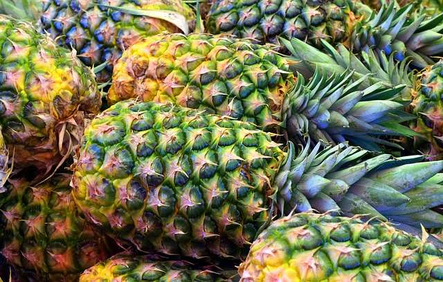 Abacaxi: O Guia Completo sobre a Fruta que Desincha o Corpo