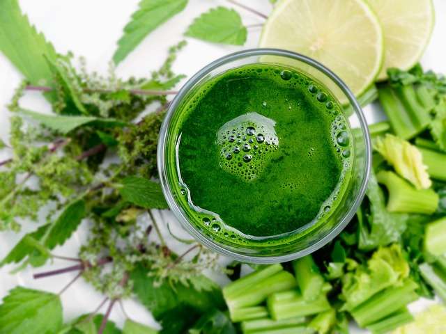 Cubos de gelo verdes concentrados feitos de couve e gengibre para preparar suco verde detox de forma rápida, organizados dentro de uma forma de silicone.