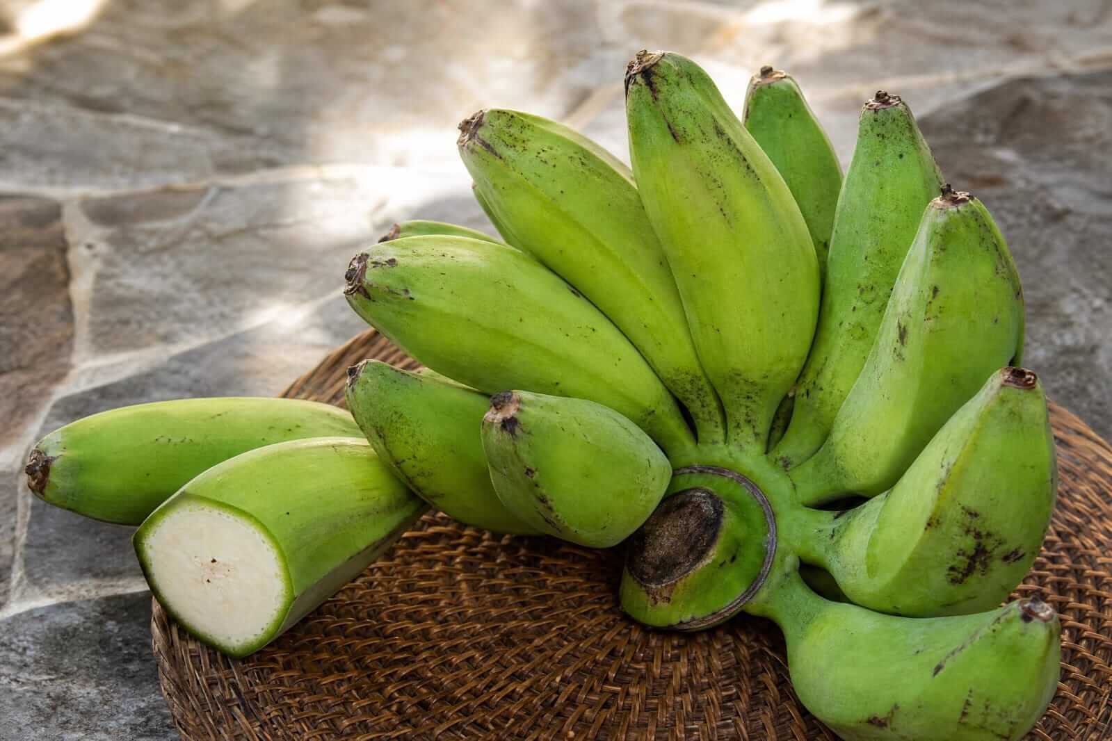 Cacho de banana-figo verde fresca e inteira com casca grossa e formato quadrado característico da variedade.
