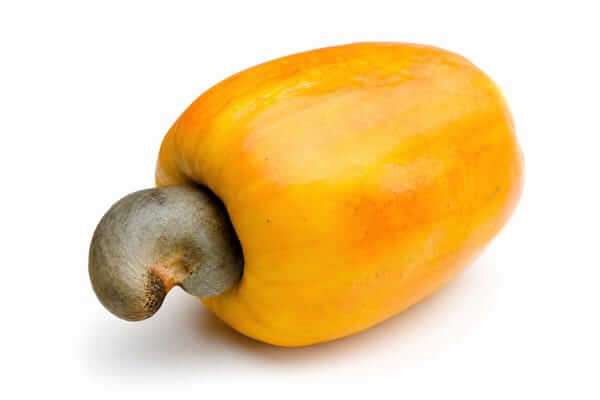 Caju: O Guia Absoluto da Fruta Tropical que Fortalece a Saúde 2 Um caju fresco e maduro com a castanha na ponta, destacando as propriedades e os benefícios do caju para a saúde.