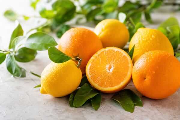 Os Benefícios das Frutas Cítricas na Saúde: O Guia Médico 2 Frutas cítricas uma ótima solução para saúde para quem não sofre de gastrite
