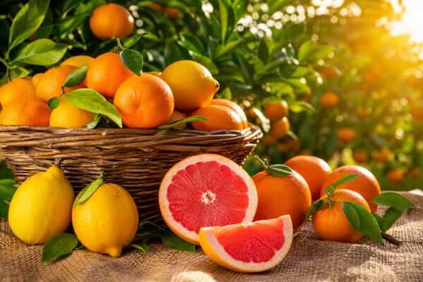 Os grandes benefícios das frutas cítricas na saúde