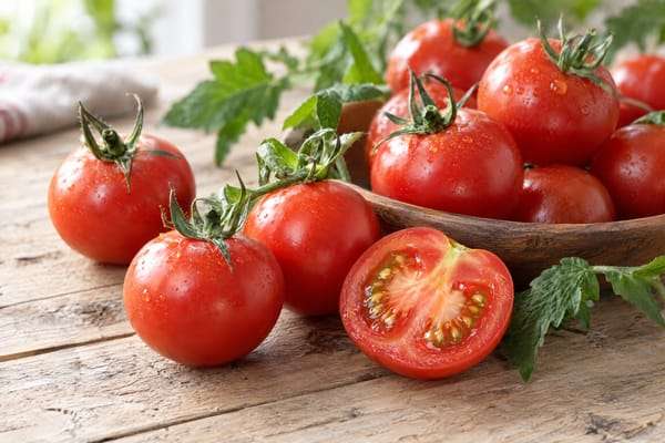 Tomate-japonês e suas utilidades na saúde e na plantação